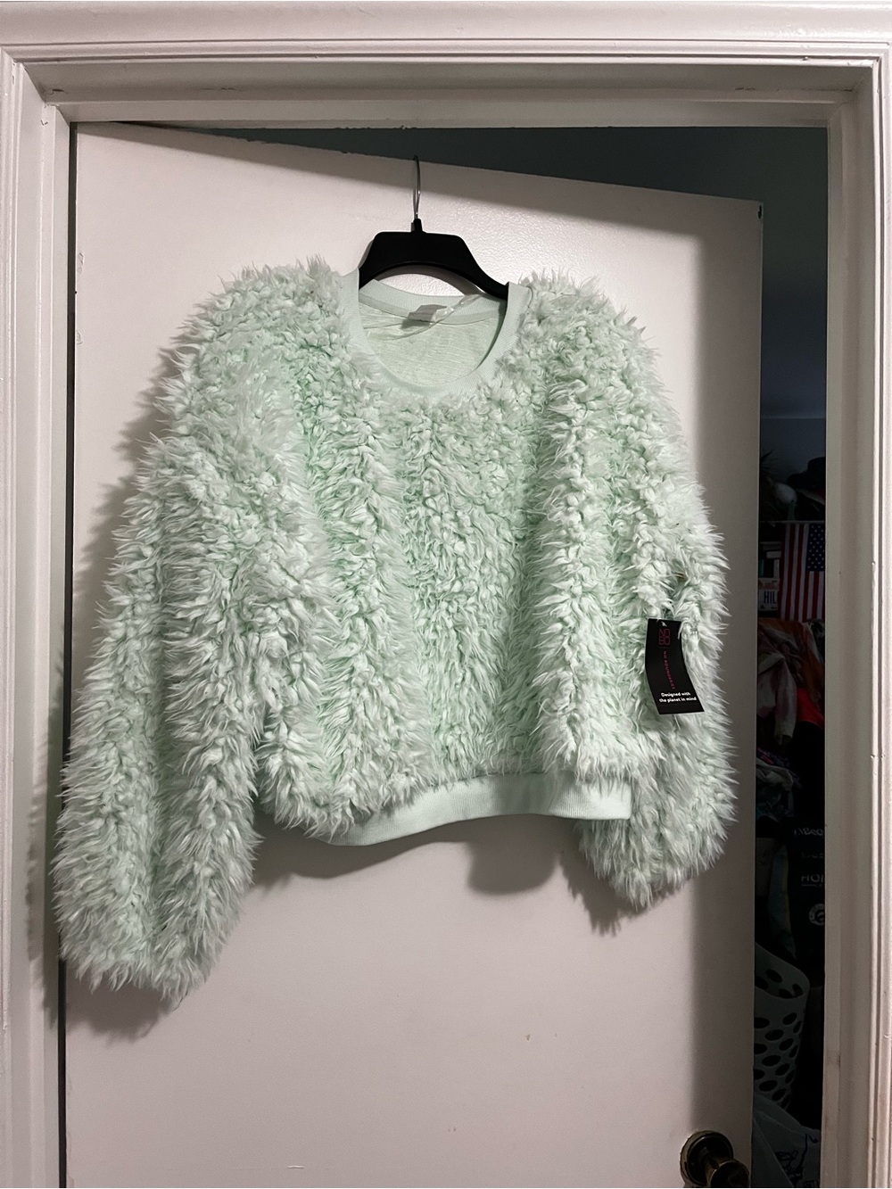 Cozy Faux Fur Mint Green Sweater - Unbranded